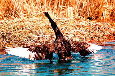 KK官方对战平台520甜蜜献礼，地图商品钜惠低至7折起！